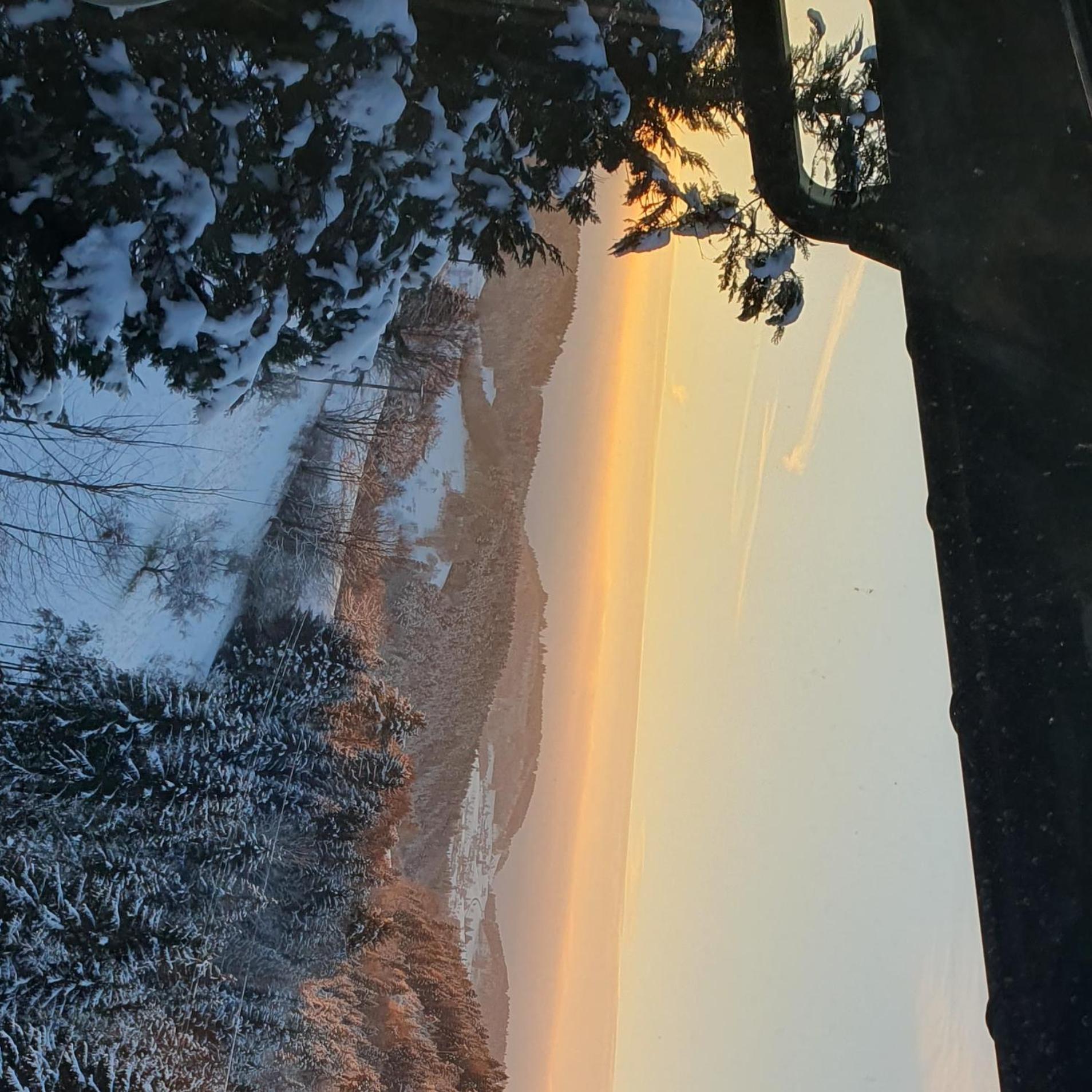 فيلا Haus Panorama Mit Alpenblick Kleines Wiesental المظهر الخارجي الصورة